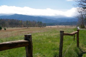 Cades Cove Meadow
