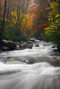 Greenbrier Stream