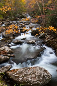 Tremont in the Smoky Mountains