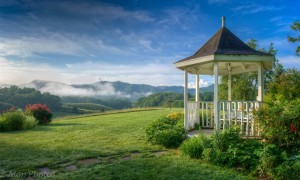 blue mountain mist 