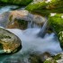 Tremont stream