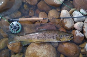 angler's creek outfitters