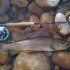 angler's creek outfitters