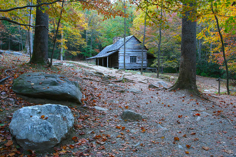 Ogle Cabin