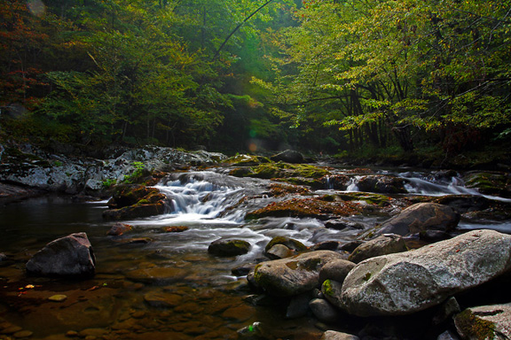 Tremont Stream