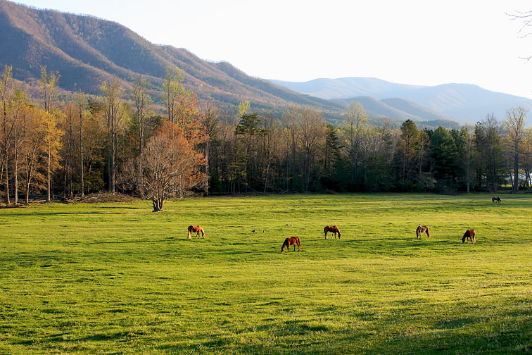 Cades Cove