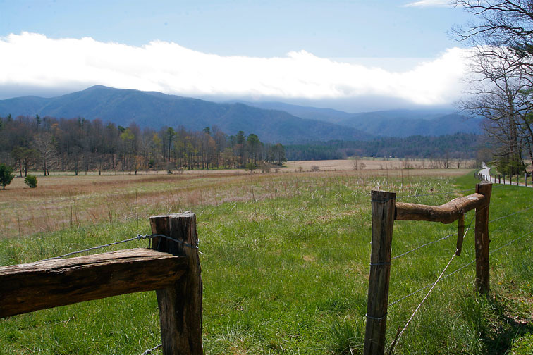 cades cove meadow