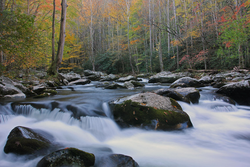 Tremont Stream