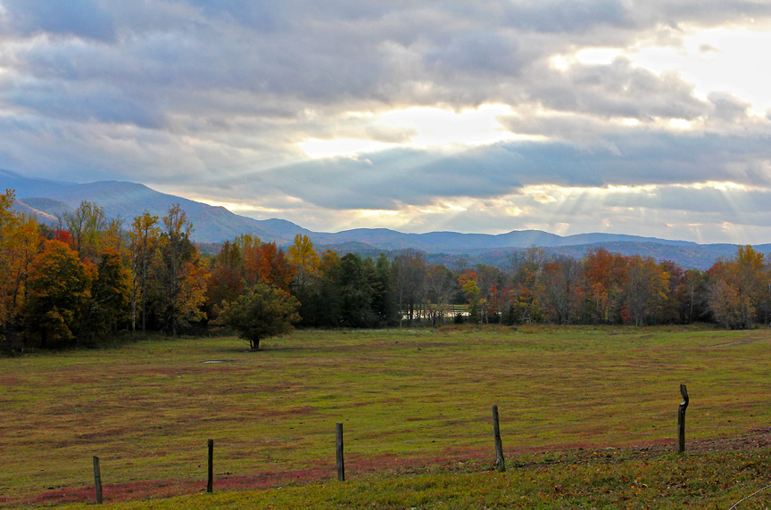 Cades Cove