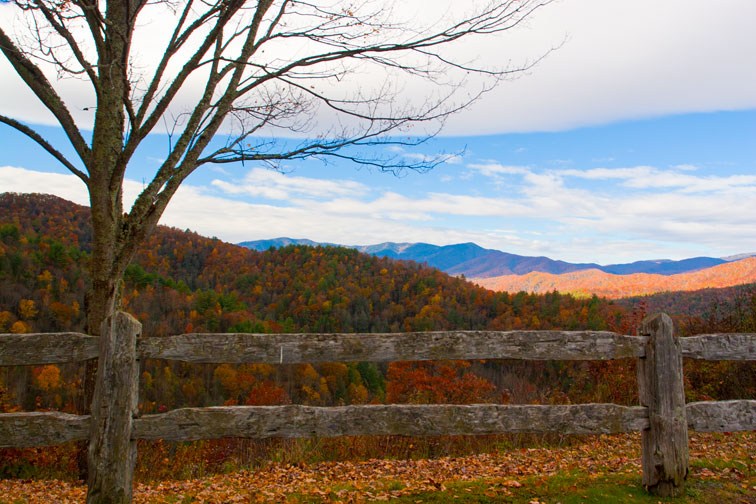 cataloochee valley tours photos