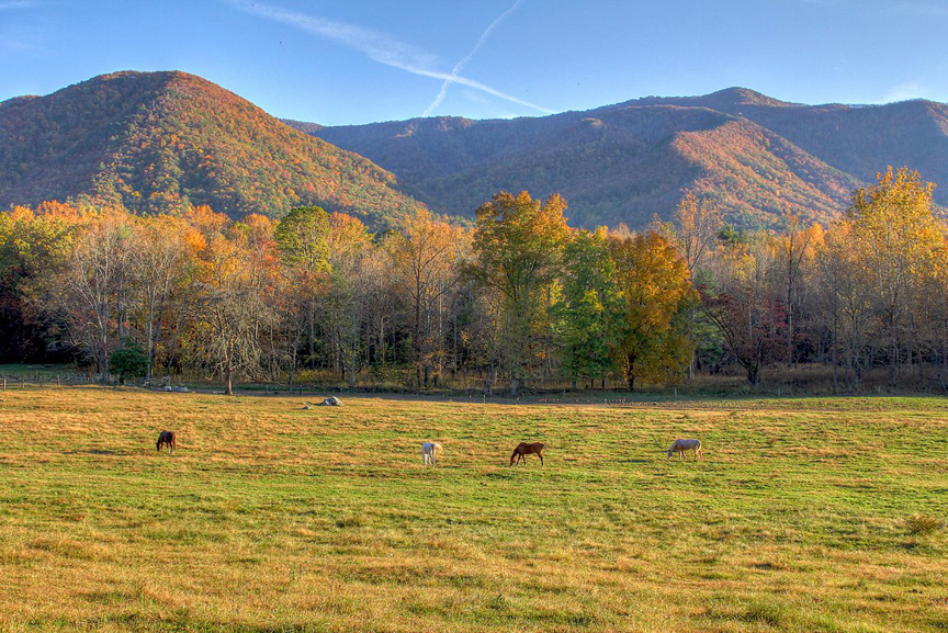 Cades Cove