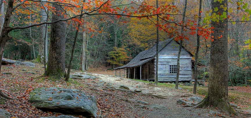 Noah Bud Ogle Cabin