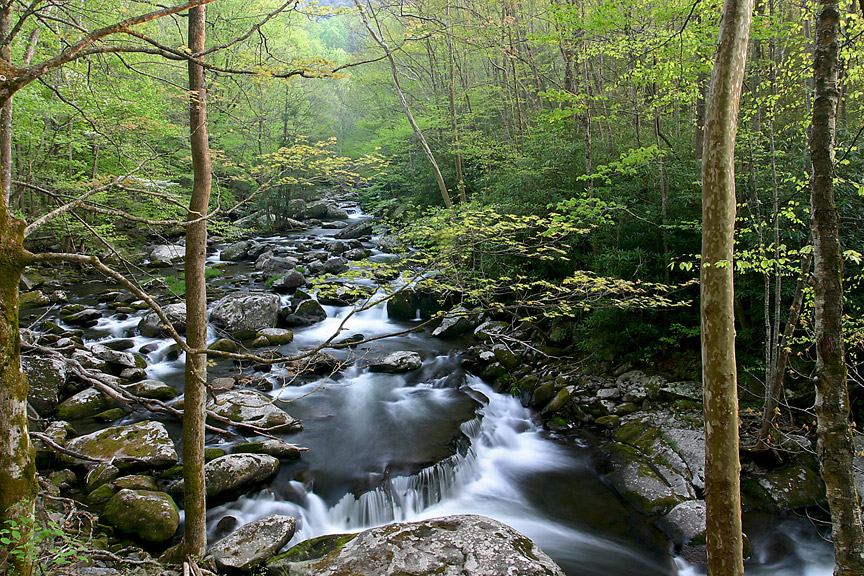 Trmeont - Great Smoky Mountains