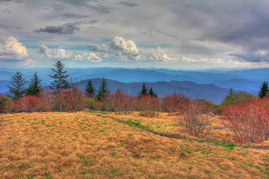 Andrews Bald - Great Smoky Mountains