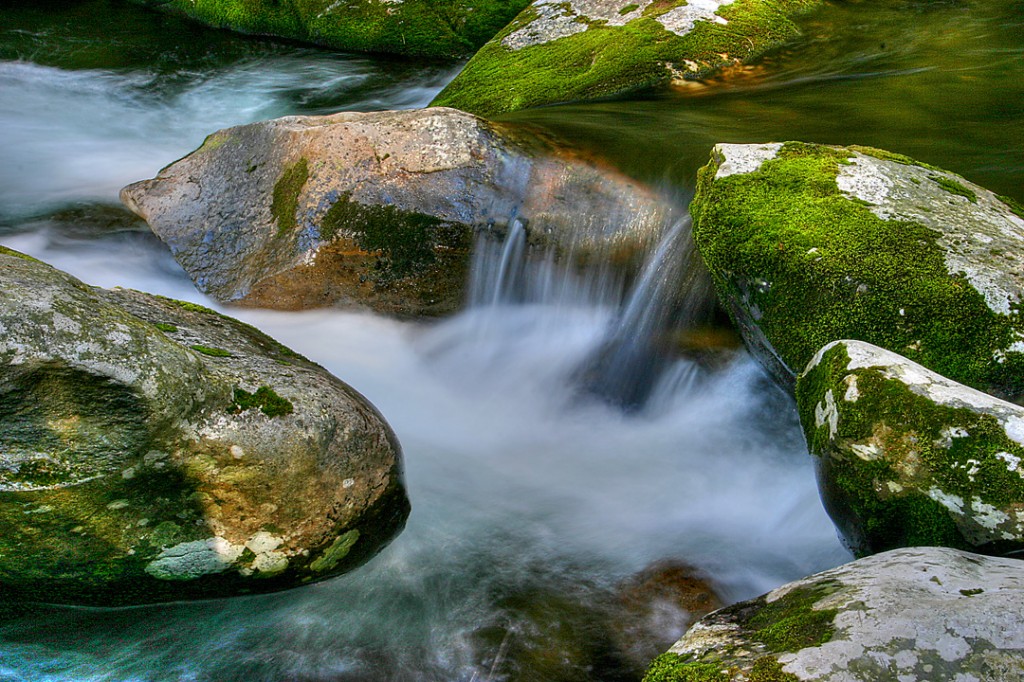 Tremont stream