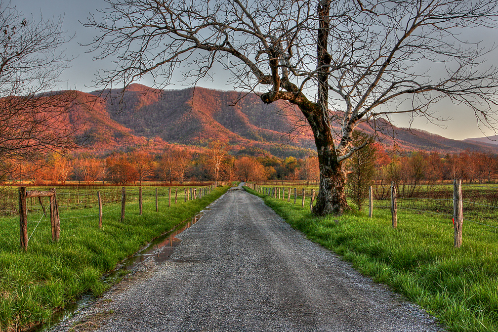 sparks lane - cades cove