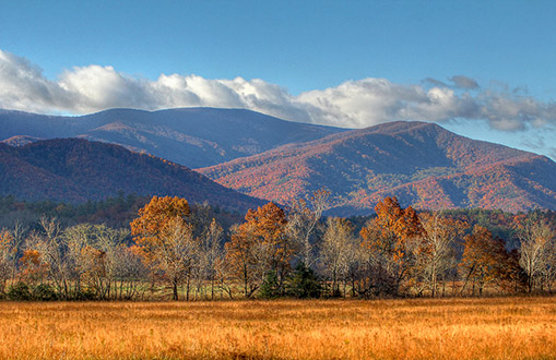 Cades Cove