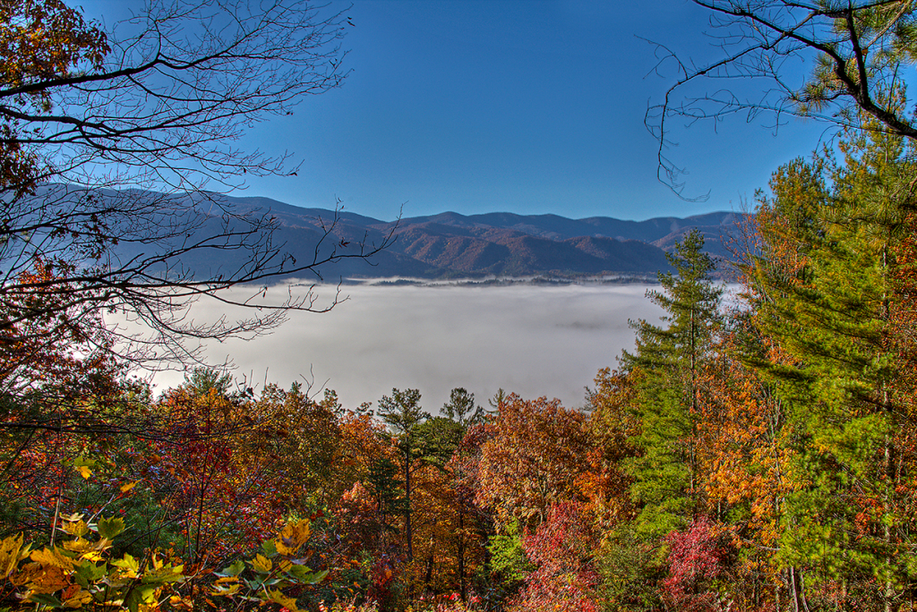 rich mountain road