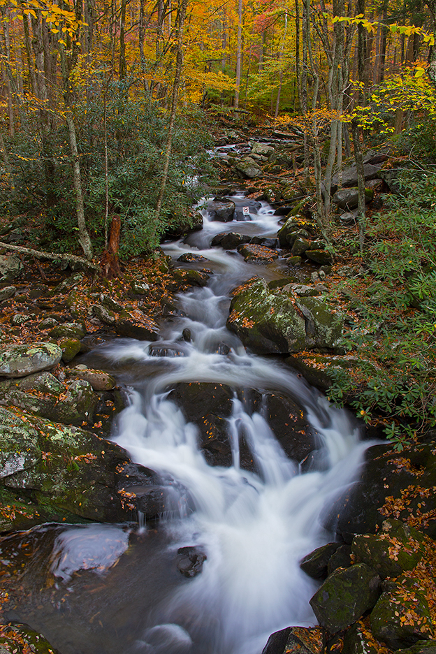 Tremont | Great Smoky Mountains