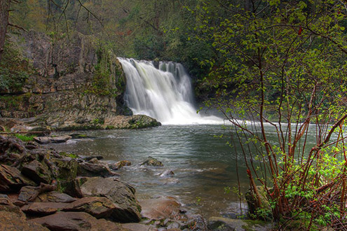 Abrans Falls Great Smoky Mountains