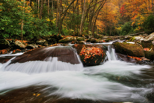 Big Creek | Great Smoky Mountains