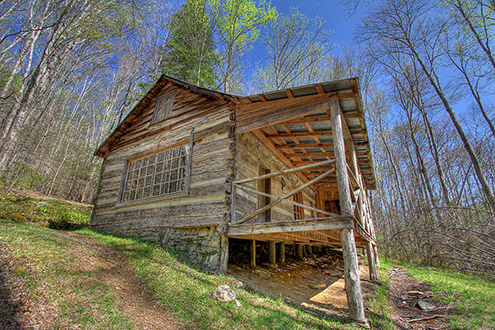 mayna avent cabin