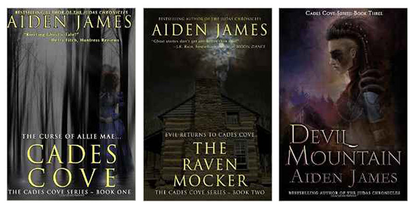 Aiden James Books